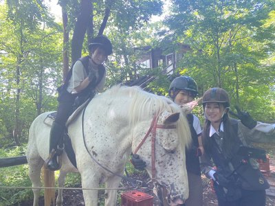 🌸SAKURA_MEGURI🐴 - 画像2