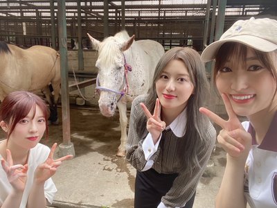 🌸SAKURA_MEGURI🐴 - 画像3
