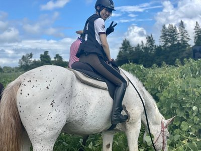 🌸SAKURA_MEGURI🐴 - 画像4