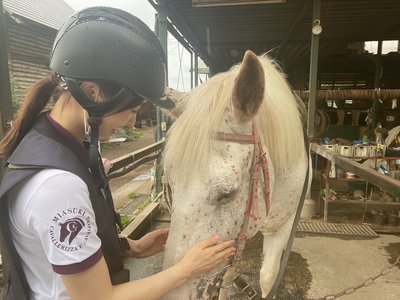 🌸SAKURA_MEGURI🐴 - 画像5