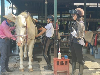 🌸SAKURA_MEGURI🐴 - 画像7