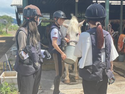 🌸SAKURA_MEGURI🐴 - 画像8