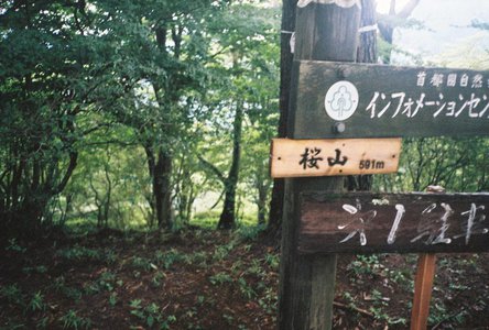 🌸。 - 画像4