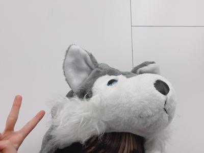 おおさか！オオサカ！大阪！ - 画像7