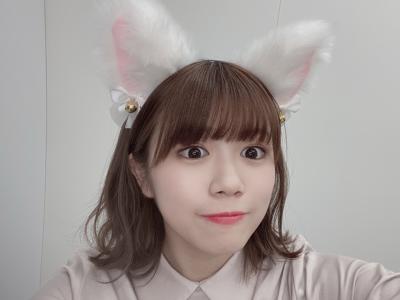 猫 - 画像1