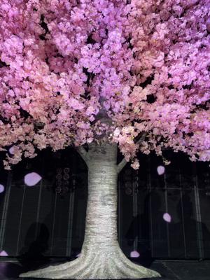 1st TOUR - 画像1