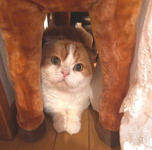嬉しいこと - 画像4