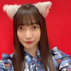 ねことねこが見つめ合っている見のサムネイル