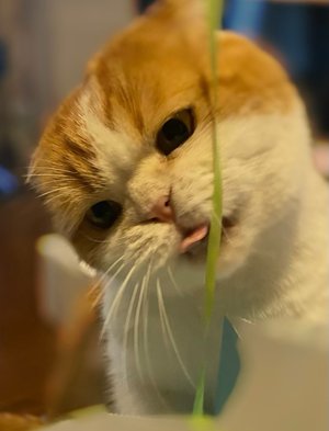 26歳になりました☺︎ - 画像2