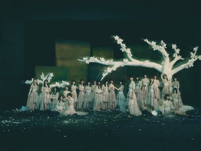 🌸。のサムネイル