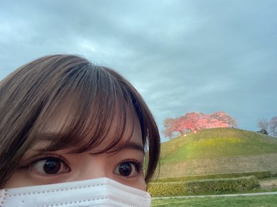 🌸。 - 画像3