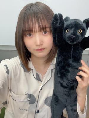 ミーグリ🐈‍⬛🐤のサムネイル