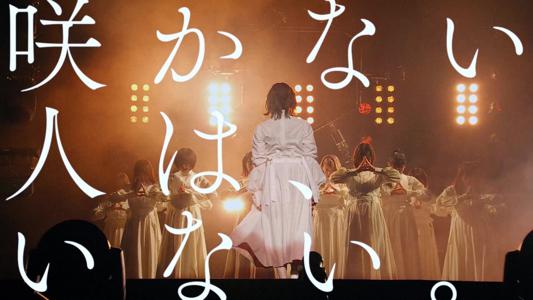 櫻坂46新メンバー募集🌸 - 画像1