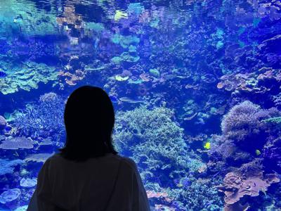 目薬した後に涙目になってるのを見られて、泣いてるって思われたくないからギリギリまで目薬を顔付近で持っときますよね(あるある提供:増本綺良)のサムネイル