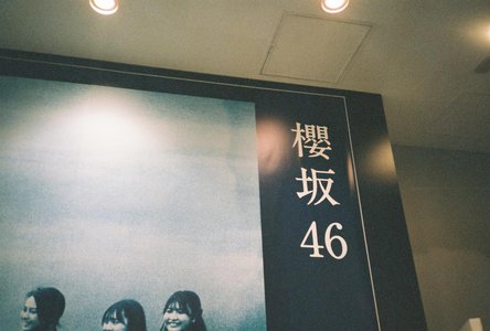 🌸。 - 画像11