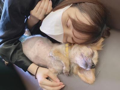 メルちゃん大好き！！！ - 画像2