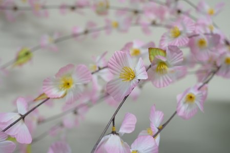 🌸。 - 画像11