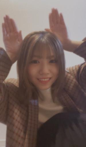 兎のサムネイル