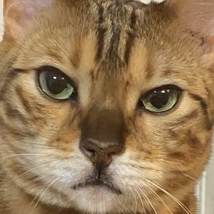 タイトルなしのサムネイル