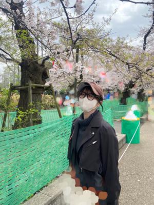 お花見のサムネイル