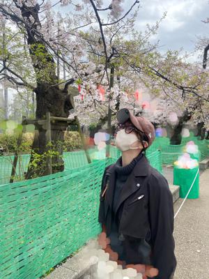 お花見 - 画像2