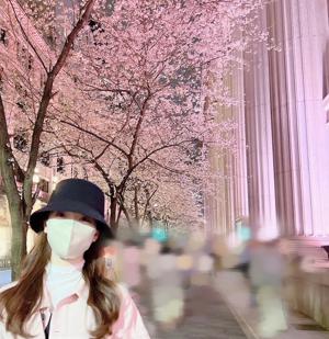 夜桜のサムネイル