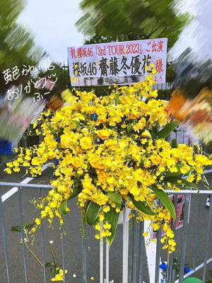  - 画像5