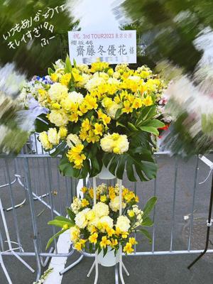  - 画像6