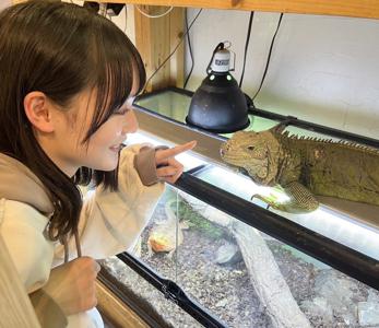 🦎YouTube🦎 - 画像1