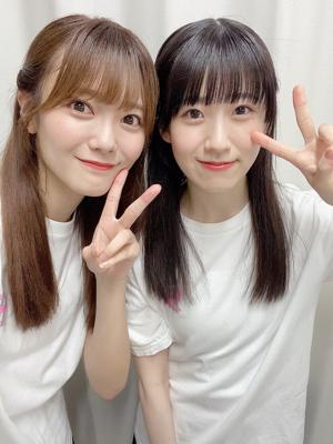 タコさん - 画像7