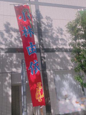 蝶々 - 画像2