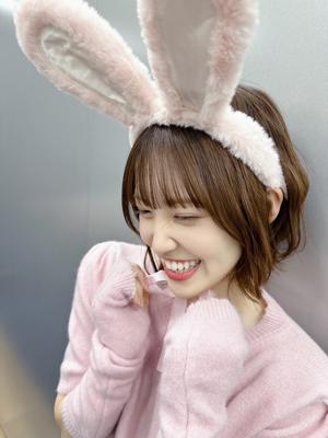 #236 うさぎのサムネイル