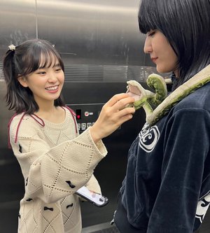 7 - 画像2