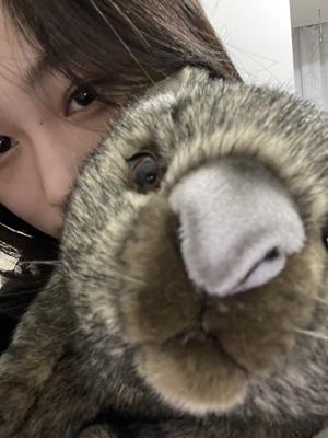 ^,,._.,,^のサムネイル