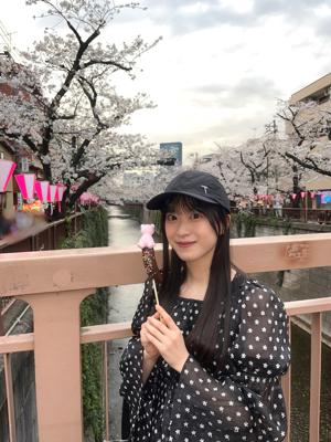 桜のサムネイル