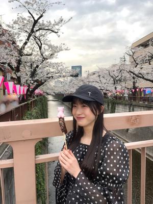桜 - 画像2