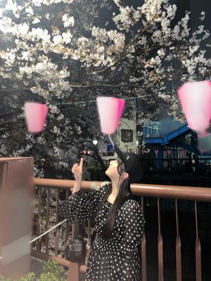 桜 - 画像4