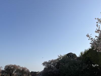 切りすぎた前髪を探したいところだけど、出来るだけ視界を明るくしてくれてるのかなとも思うから視野を広くするキャンペーンでも開いてみようかなと思ったり、75 - 画像4