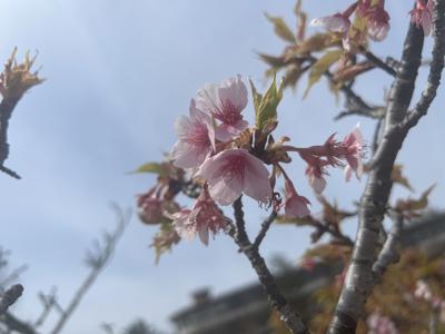 9th - 画像1