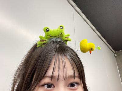 りぼんの指輪のサムネイル