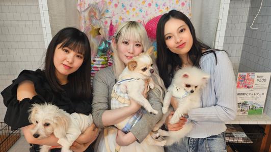 #146  初櫻坂チャンネル🐶のサムネイル