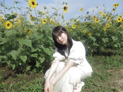 向日葵のサムネイル