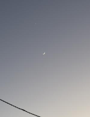 🌙 - 画像1