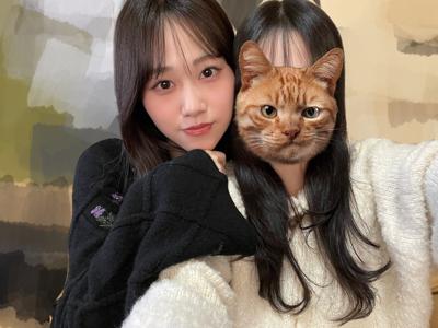 おせちはかまぼこが好き - 画像3