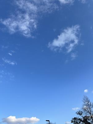 #204. 11のサムネイル