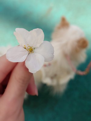 久しぶりの晴れのサムネイル