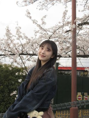 桜のサムネイル