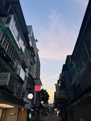 肩 - 画像2