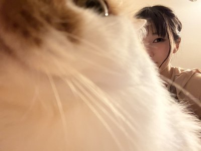 夢は夢のままじゃなかった - 画像8