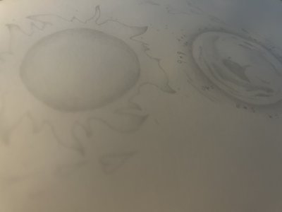5月 - 画像10